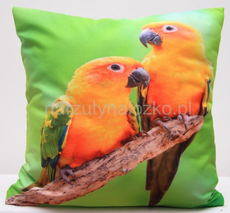 Pomarańczowe papugi dekoracyjna zielona poszewka