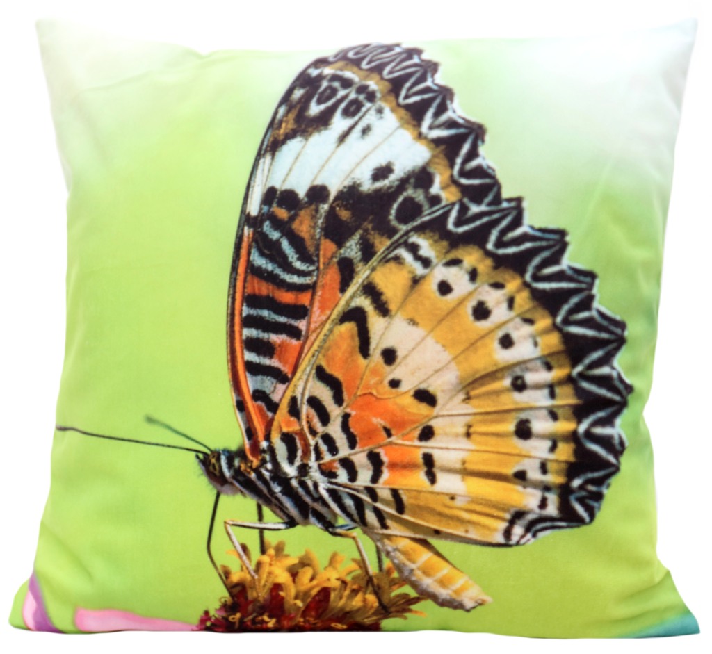 Wysokiej jakości zielona poszewka na poduszkę ze ślicznym kolorowym motylem