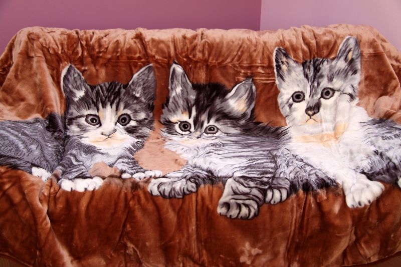 Trzy małe kotki brązowy klasyczny koc 160x210